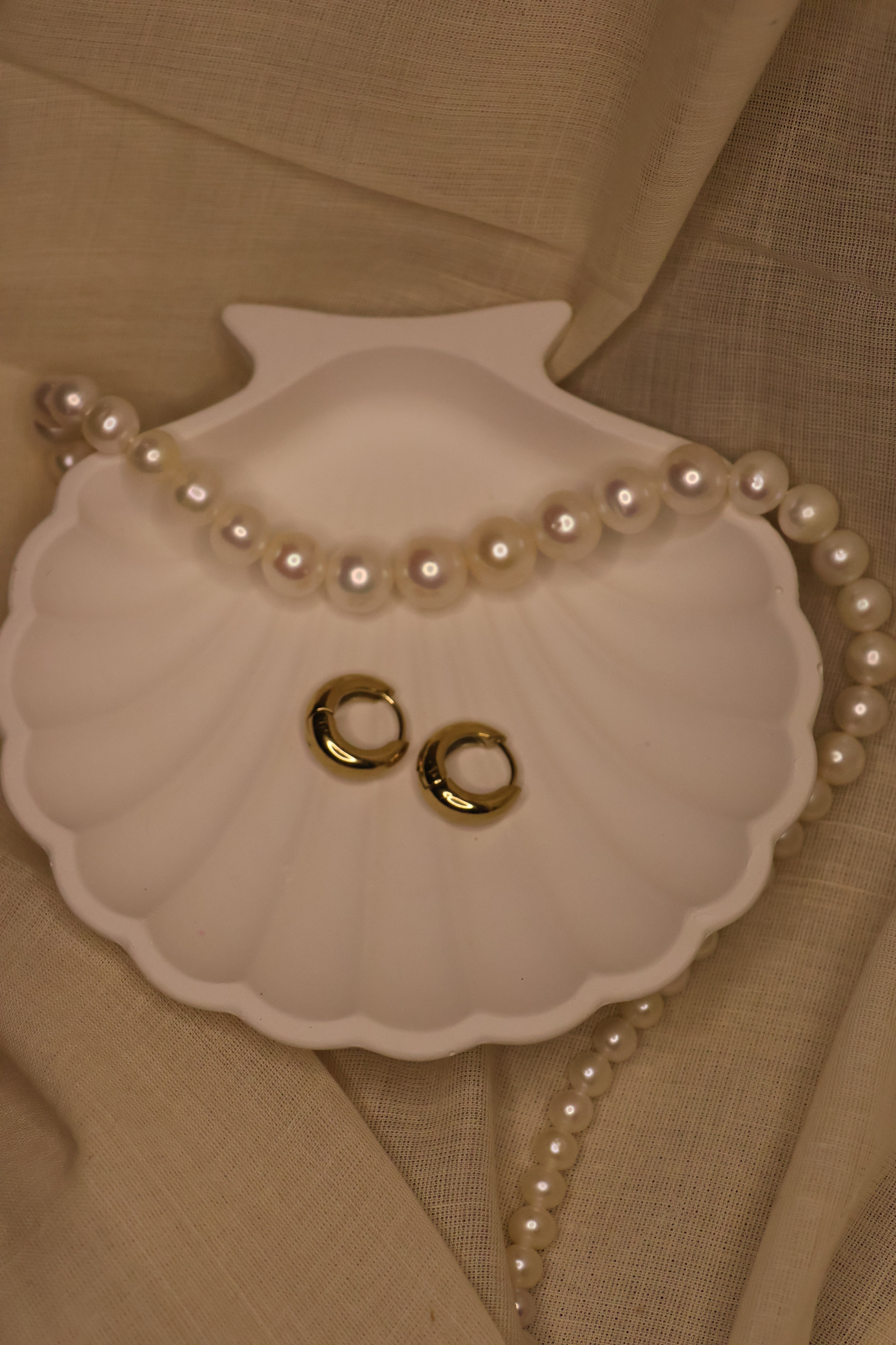 Small Hoop Earrings